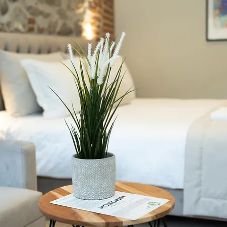 Monopati House Апарт-отель Mouzaki