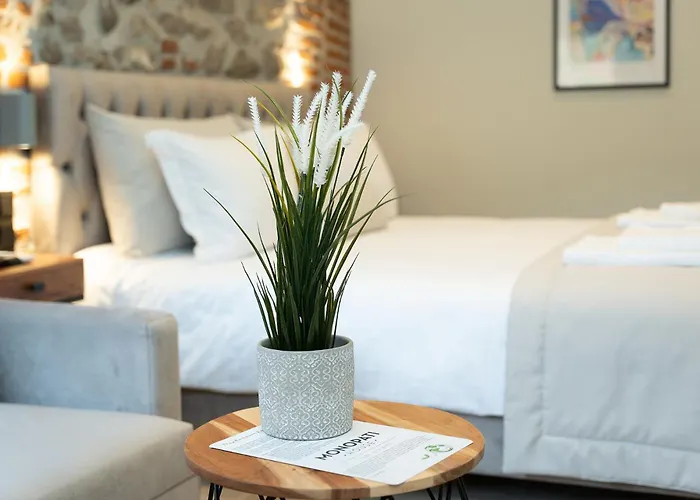 Monopati House Aparthotel Mouzaki